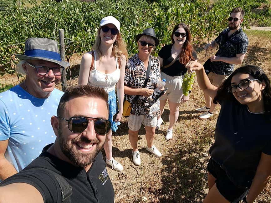 Crete: Knossos Palace, Winery & Olive Oil Tour with Lunch - Who should book this tour (and who shouldn’t)