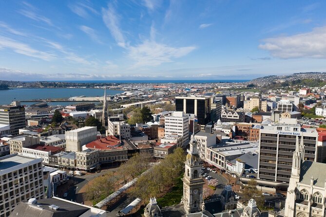 Cruise Dunedin City and Castle Tour - Why This Dunedin Cruise Tour Works for Short Shore Time