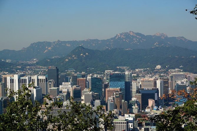 Customized Private Seoul tour: Palace, Market etc(Airport Option) - Private Seoul that feels like it’s built around you