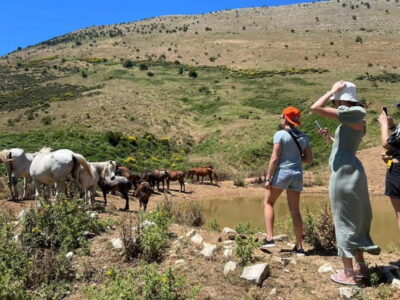 Daily Trip To:Blue Eye,Monastery,Gjirokaster&Lekursi Castle - Pickup, van comfort, and the real pace of an 8-hour loop