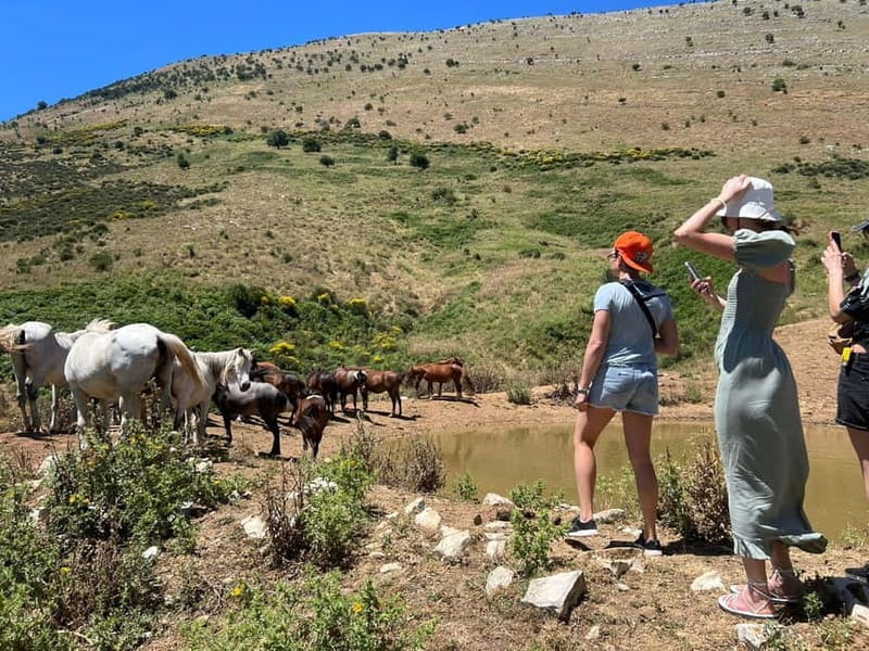 Daily Trip To:Blue Eye,Monastery,Gjirokaster&Lekursi Castle - Pickup, van comfort, and the real pace of an 8-hour loop