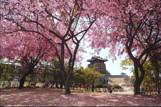 Day Tour of Suwon Hwaseong Fortress Starfield Waujeongsa Temple - Pacing, Weather, and What to Pack for a 10-11 Hour Day