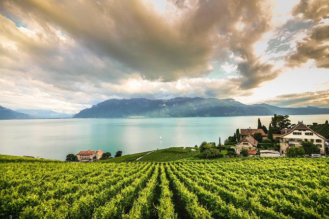 Day Trip to Montreux, Chaplin's World & Chillon Castle& apéritif - A Day Trip That Maps Switzerland’s Riviera in One Route