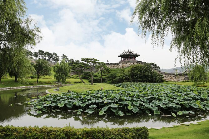 Day Trip to UNESCO: Suwon Fortress Adventure from Seoul - Hwaseong Fortress walk: Joseon defense and a father-son story
