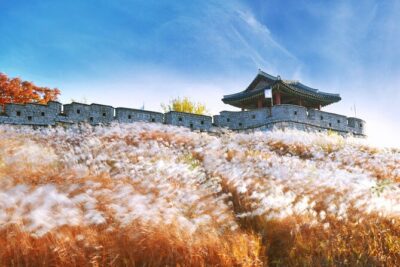 Day Trip to UNESCO: Suwon Fortress Adventure from Seoul - Directional gates and photo stops: where the guide earns their keep