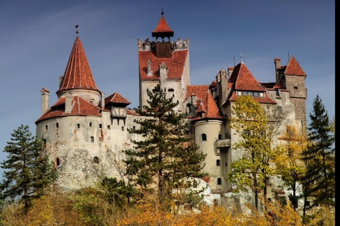 Dracula's Castle -Private Tour- with Brașov City and Peleș Castle - Peleș Castle: A Royal Palace With Serious Craftsmanship