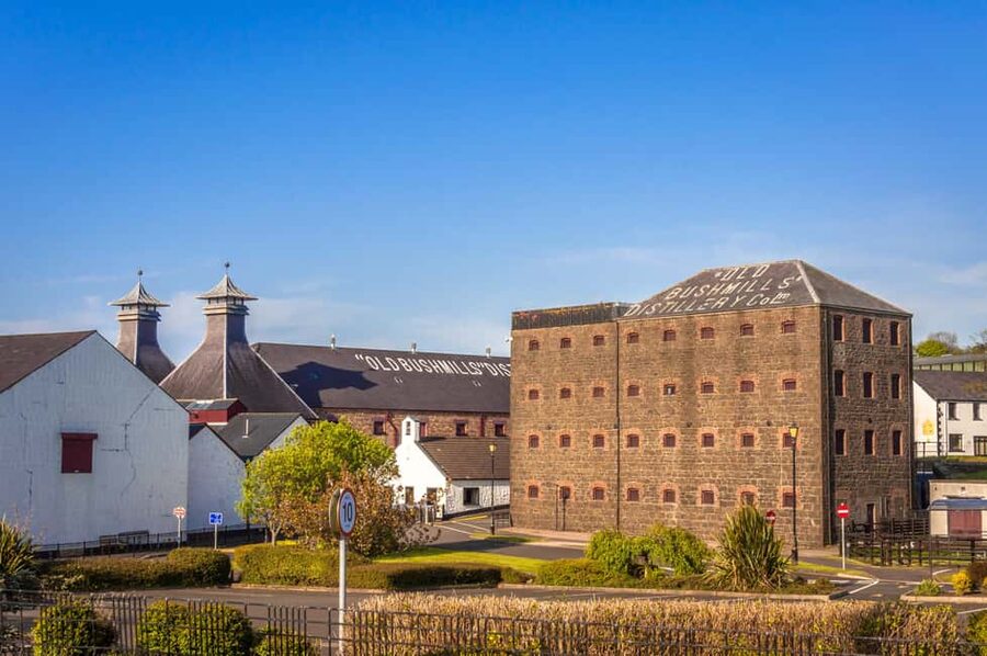 Dublin: Belfast Walk, Dunluce Castle & Giant’s Causeway - Logistics that matter: where you start and where you end