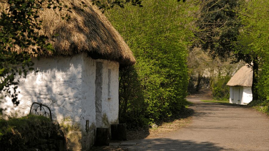 Dublin: Cliffs of Moher, Ennis, & Bunratty Castle Day Tour - Ennis: your lunch-and-music reset in Ireland’s friendliest town