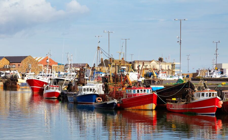 Dublin: Full-Day Howth and Malahide Castle Tour - Price and value: why this can be a good deal at $56