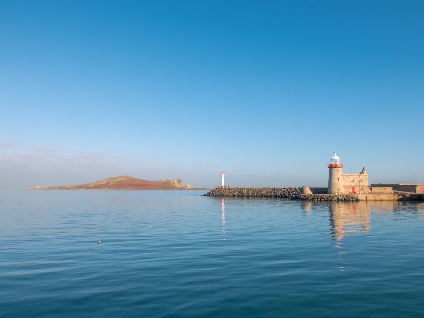 Dublin: Full-Day Howth and Malahide Castle Tour - Howth harbor seals: the playful side of the coast