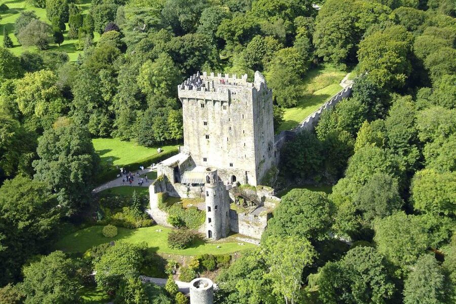 Dublin: Full-Day Tour to Cork, Cobh and Blarney Castle - Price and Value: What $158 Buys You