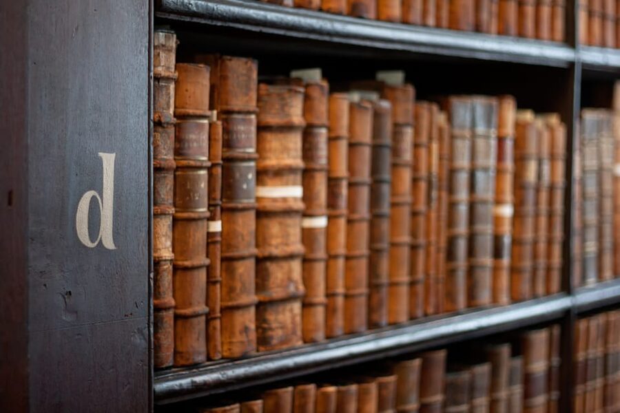 Dublin: St Patrick's, Book of Kells, and Dublin Castle Tour - Key things you’ll notice right away