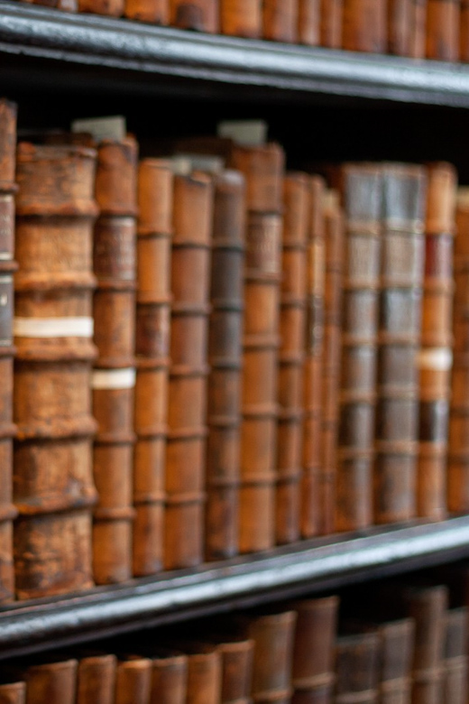 Dublin: St Patrick's, Book of Kells, and Dublin Castle Tour - Price and value: is $101 worth it?