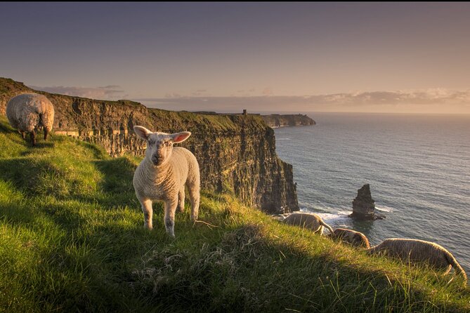 Dublin to Cliffs of Moher, Ennis Town & Bunratty Castle Day Tour - The timing and the ride: what you really gain from packing four stops