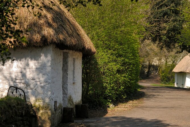 Dublin to Cliffs of Moher, Ennis Town & Bunratty Castle Day Tour - Who this day tour is best for
