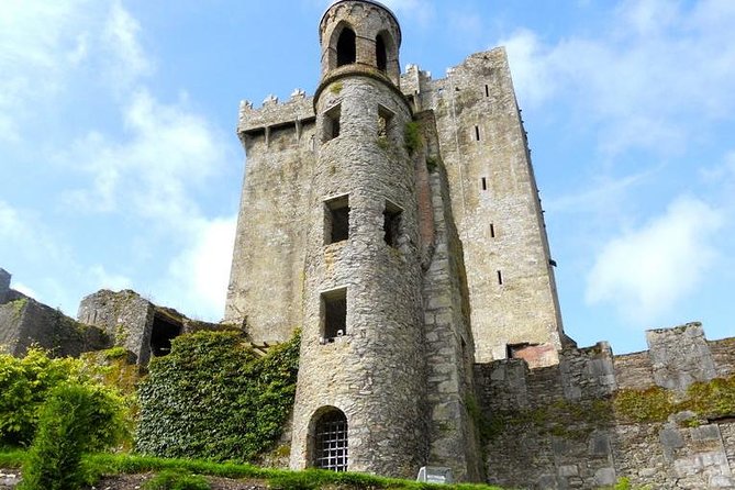 Dublin to Cork, Blarney Castle & Cóbh Heritage Centre by train - Cork Arrival and Coach Transfer: Moving Without Missing Things