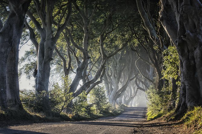 Dublin to Dunluce Castle, Giant's Causeway, Dark Hedges & Belfast - Who should book this day trip, and who should skip it