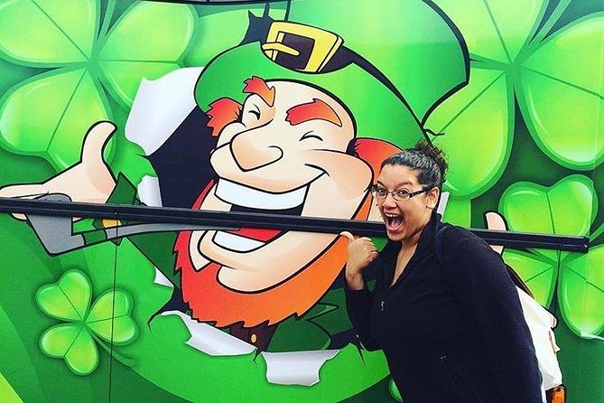 Dublin to Rock of Cashel, Cork City & Blarney Castle Guided Tour - Price and value: what $95.53 buys you