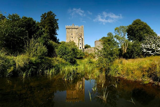 Dublin to Rock of Cashel, Cork City & Blarney Castle Guided Tour - Should you book this Dublin to Rock of Cashel, Cork & Blarney day trip?