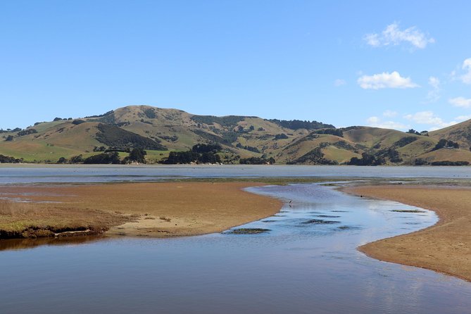 Dunedin City, Wildlife and Larnach Castle - Key highlights to watch for