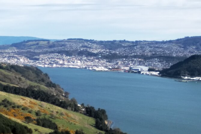 Dunedin City, Wildlife and Larnach Castle - Dunedin city stops: Baldwin Street, Otago University clock tower, and Gothic First Church