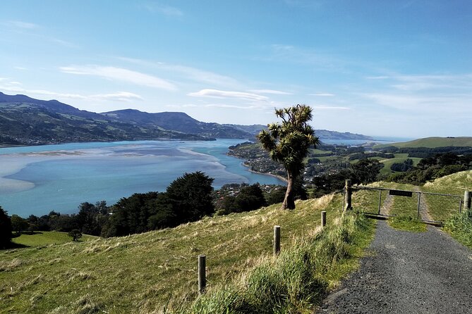 Dunedin City, Wildlife and Larnach Castle - Larnach Castle & Gardens: the included ticket stop that anchors the day