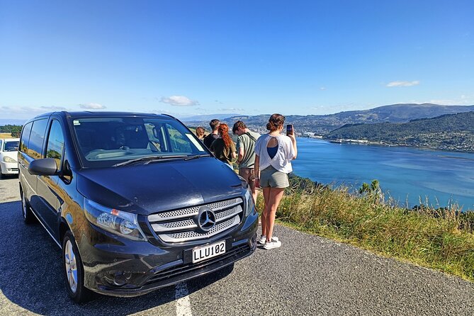 Dunedin City, Wildlife and Larnach Castle - Sandfly Bay Track: short walk, big coastal mood