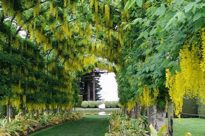 Dunedin City, Wildlife and Larnach Castle - Cost and value: is $161.35 worth it for this mix?
