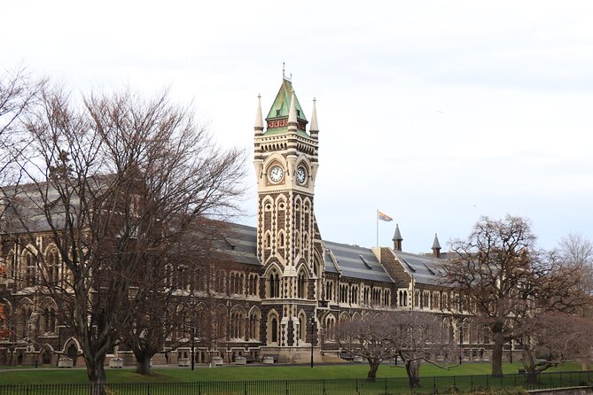 Dunedin City, Wildlife and Larnach Castle - Pickup, small-group pacing, and why it changes everything