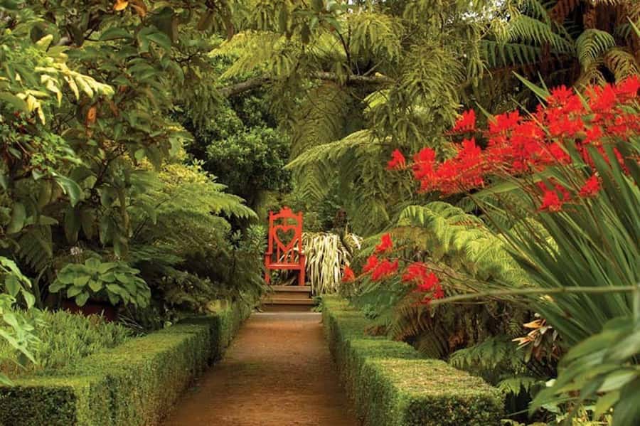 Dunedin: Larnach Castle & Gardens Admission Ticket - The Self-Guided Plan That Actually Lets You Set the Pace