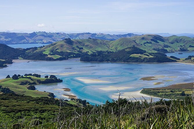 Dunedin Shore Excursion City Sightseeing & Tour of Larnach Castle - The 2-hour Dunedin highlights loop: Otago, gardens, Baldwin Street
