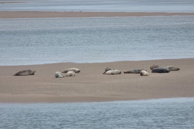 Dunrobin Castle and Glenmorangie Distillery - Local Private Tour - Loch Fleet National Nature Reserve: wildlife window, not a zoo