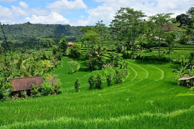 East Bali Tour: Gate of Heaven, Water Palace, Sleeping Gajah - Wapa di Ume Sidemen: lunch with river views plus infinity pool time