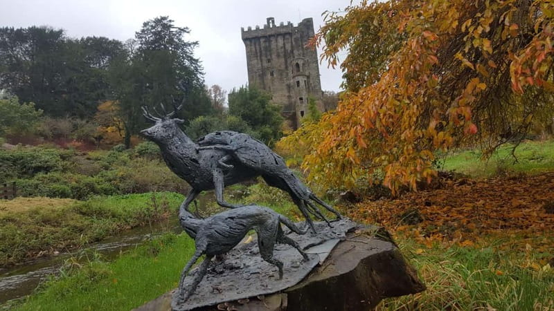 Easy Access - The Blarney Stone & Castle Gardens Tour - Blarney Woollen Mills: guided shopping without the panic