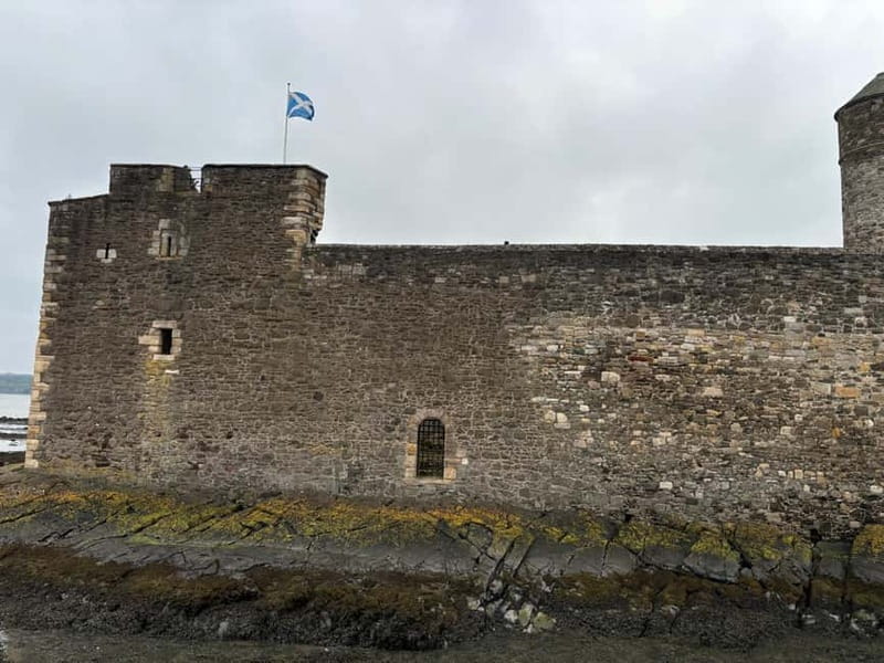 Edinburgh: Highland Cow, Blackness Castle, and Cake Tour - Wildlife viewing stop: a break that can add surprise