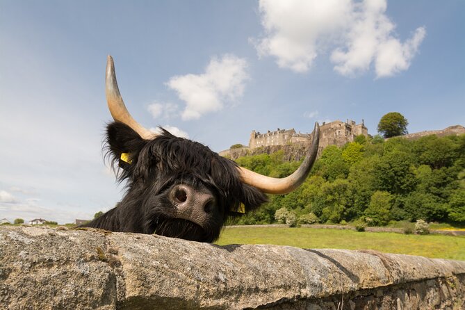 Edinburgh: Loch Lomond, Stirling Castle and the Kelpies Day Tour - Getting there with live narration (and what to bring)
