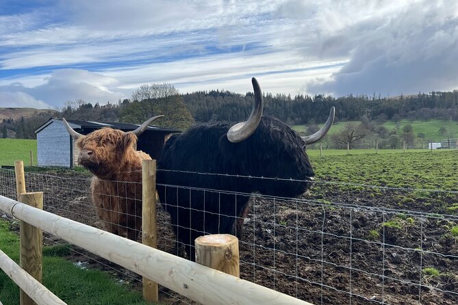 Edinburgh: The Kelpies, Stirling Castle, Loch Lomond & Trossachs - The Kelpies at The Helix: giant equine sculptures and a visitor centre stop