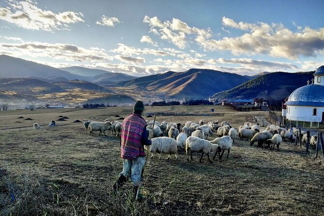Exclusive Tour: Corvin Castle, Alba Iulia and traditional villages from Sibiu - Price and value: what you’re really paying for