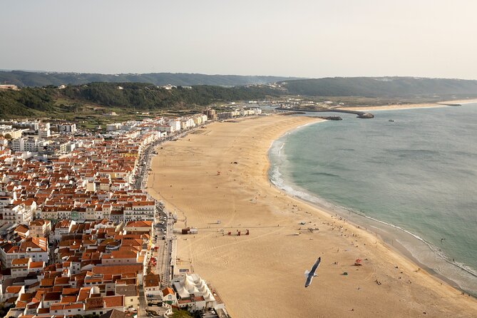 Fatima Sanctuary, Pena Palace & Nazare's Big Wave from Lisbon - Nazaré’s Big Wave Viewing: More Than Just Surfers