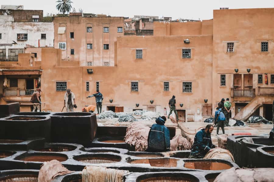 Fes: Royal Palace, Madrasa, Tannery & Souks and Medina Tour - Medina of Fes walking + Bab Boujloud: how to shop without getting lost