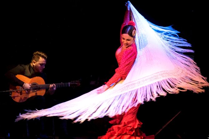 Flamenco Show at Dalmases Palace in Barcelona - Who should book this flamenco show (and who should think twice)