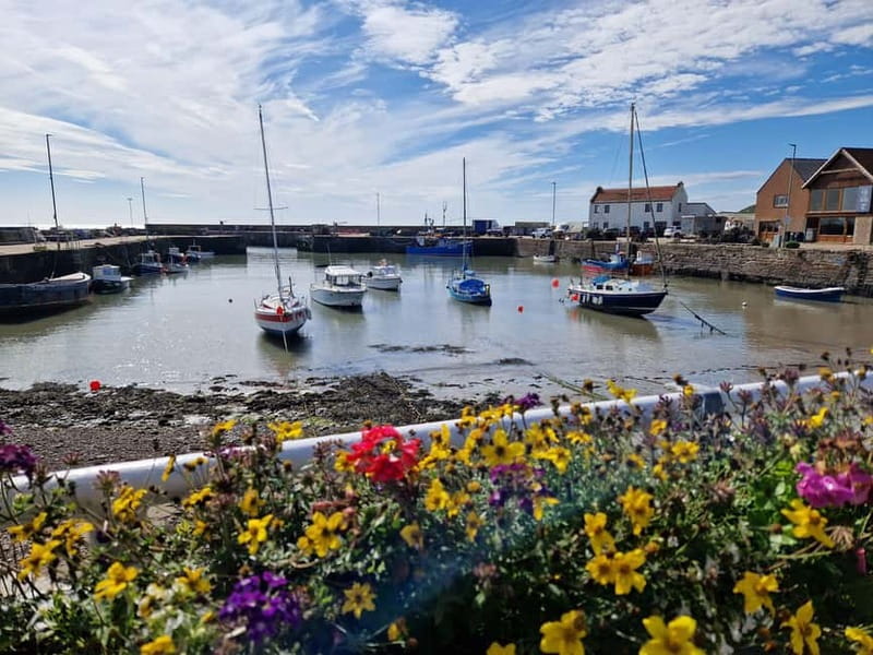 From Aberdeen: Guided Day Trip, Coast & Castle Visit - Why Aberdeenshire’s Coast and Castles Work So Well Together
