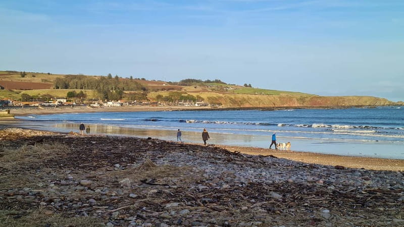 From Aberdeen: Guided Day Trip, Coast & Castle Visit - Stonehaven Harbour Walk: Lunch on Your Terms and Boardwalk Photos