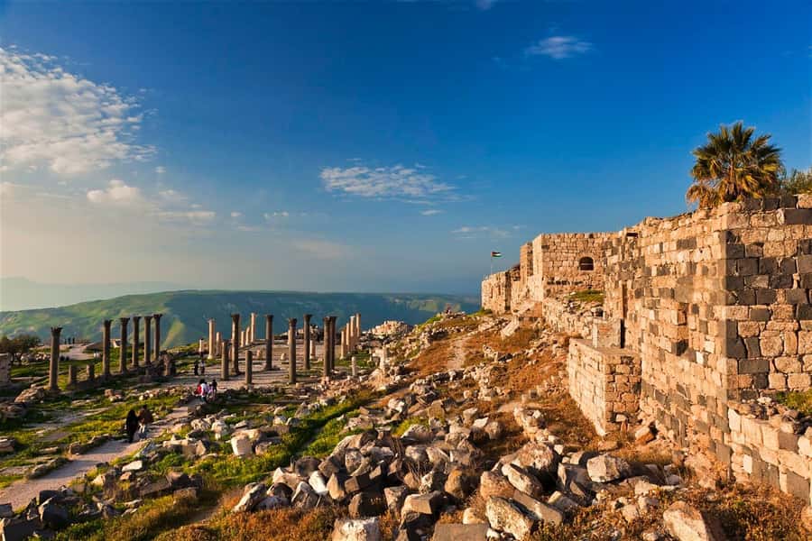 From Amman: Jerash, Ajloun Castle or Umm Qais Private Tour - Should You Book This Amman to Northern Jordan Tour?