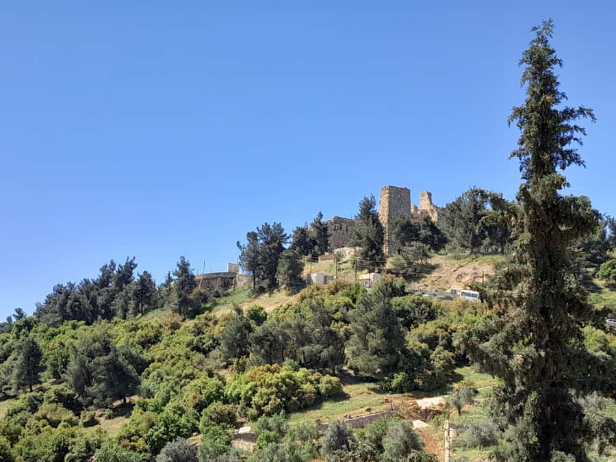 From Amman: Private Jerash, Ajloun Castle, and Umm Qais Tour - Walking, comfort, and how to handle a north-Jordan day