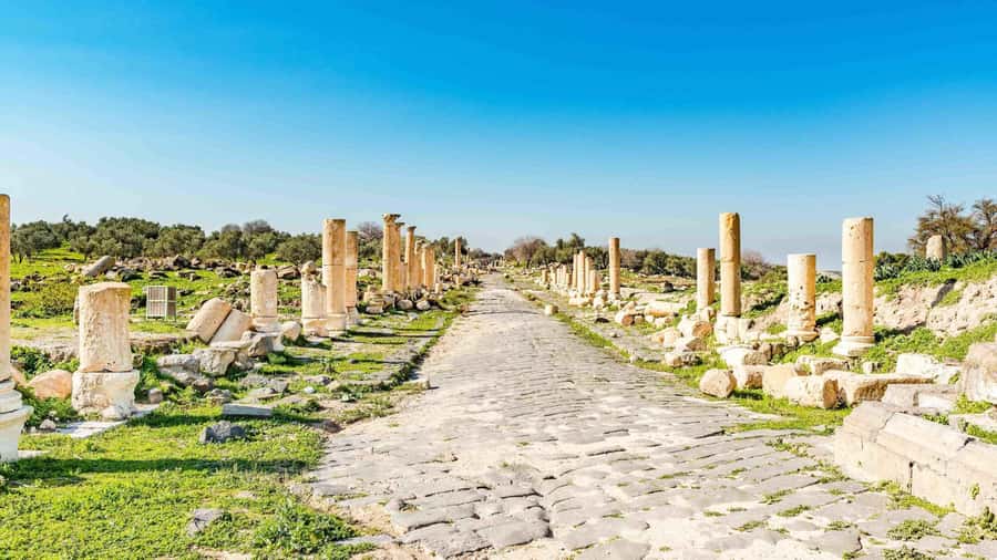 From Amman: Private Jerash, Ajloun Castle, and Umm Qais Tour - Entrance fees and optional local guides: the real cost picture