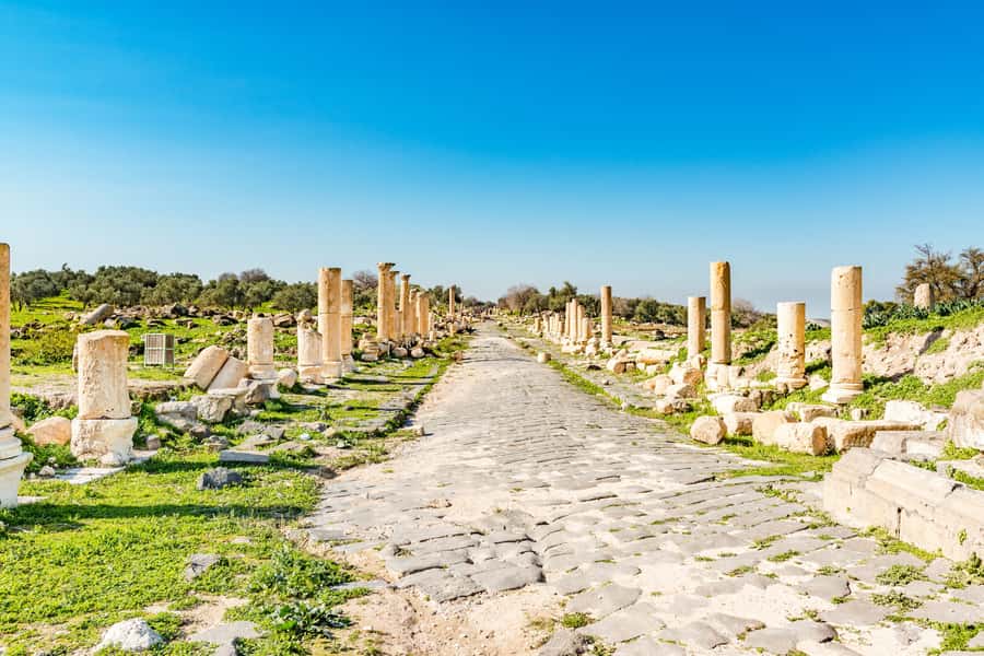 From Amman: Private Jerash, Ajloun Castle, and Umm Qais Tour - Getting out of Amman: private transport, Wi‑Fi, and a calm start