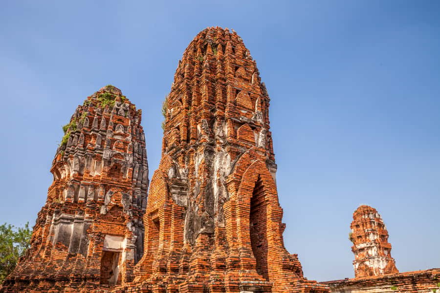 From Bangkok: Private Tour to Ayutthaya & Summer Palace - Viharn Phra Mongkol Bopit to Wat Lokayasutharam: Buddha Variety Packs