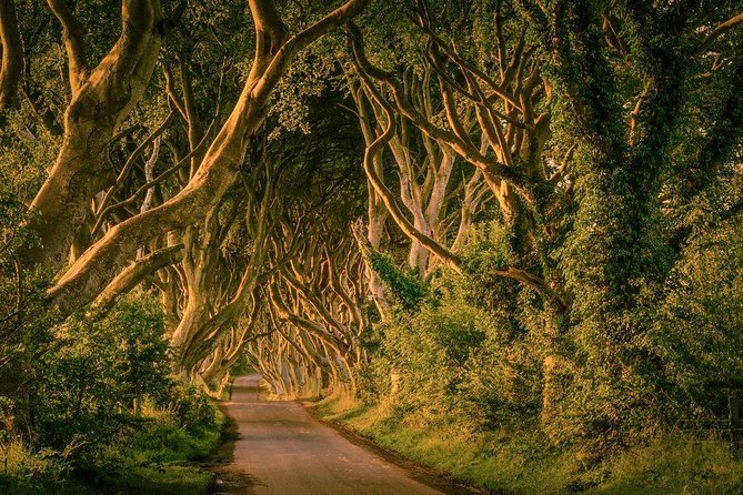 From Belfast-Giants Causeway, Dunluce Castle and Dark Hedges tour - The timing reality: what you gain, and what you give up