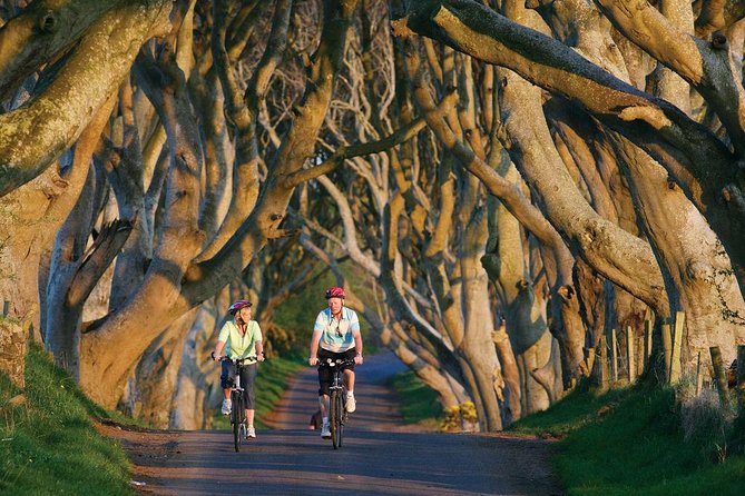 From Belfast-Giants Causeway, Dunluce Castle and Dark Hedges tour - What to bring so the day feels easy
